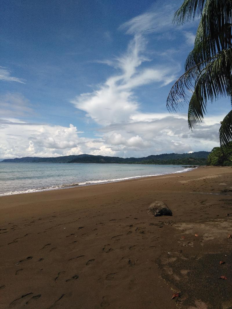 Hotel Rancho Corcovado Drake Bay ภายนอก รูปภาพ